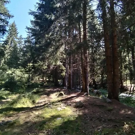 Real Pensionat Žiar