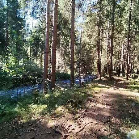 Real Žiar